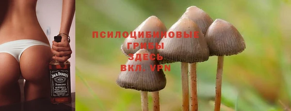СК Мегион
