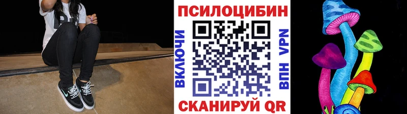Купить закладки  Окуловка  Галлюциногенные грибы мицелий 
